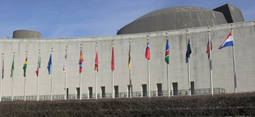 UN Treaty Watch Cover
